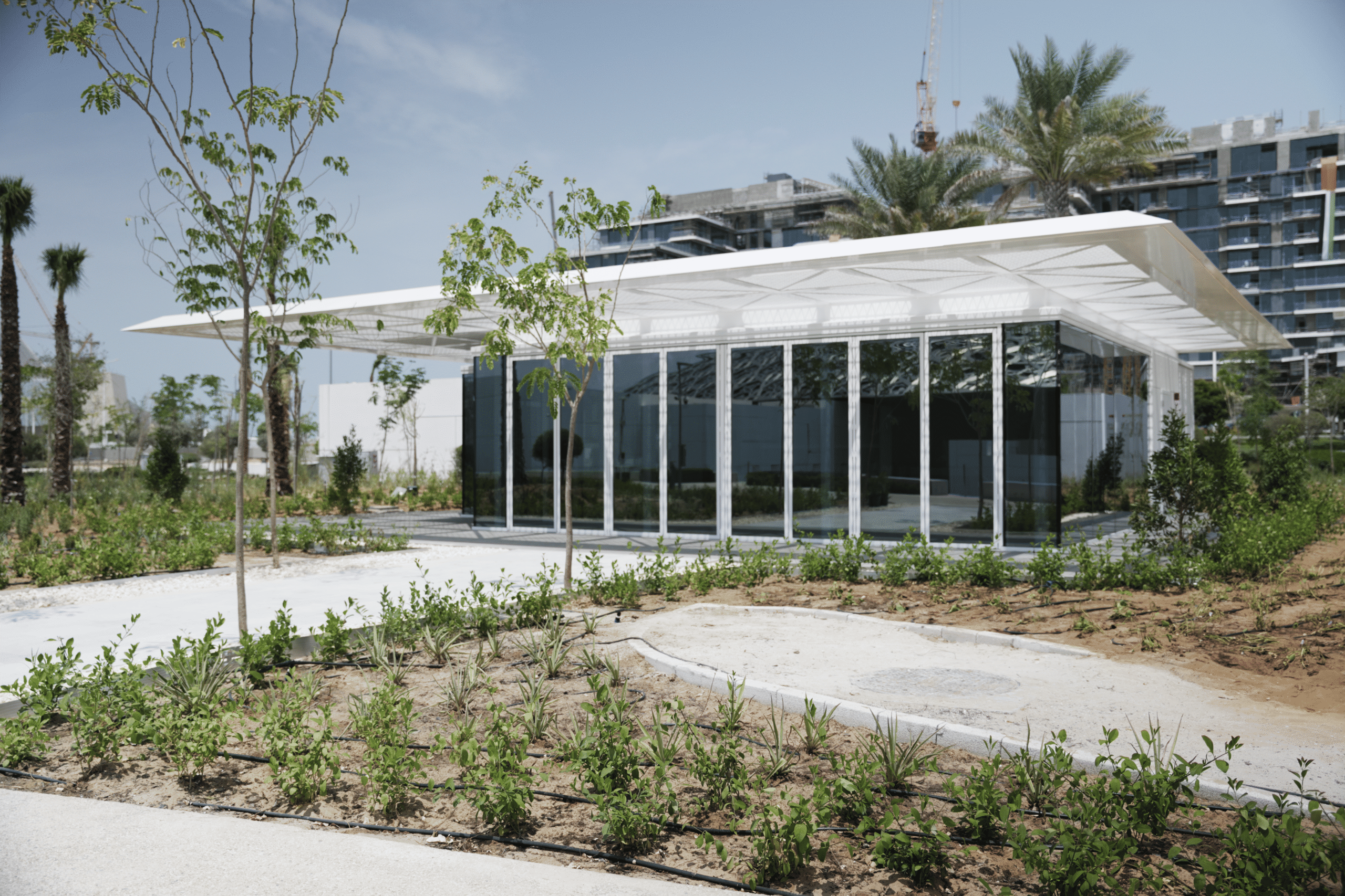 Louvre Abu Dhabi Pavilions